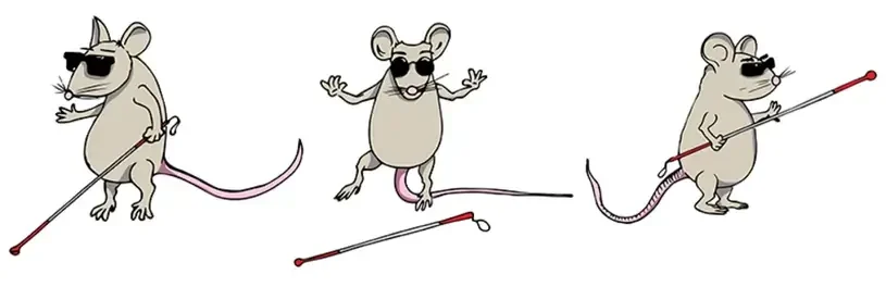3 ratinhos cegos com óculos escuros e bengalas