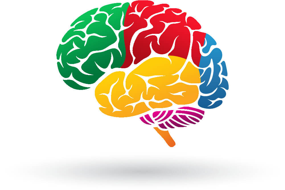 Telas e o desenvolvimento cognitivo - ilustração de um cérebro colorido