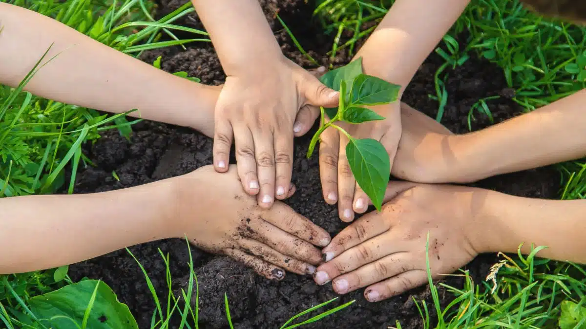Atividades e Brincadeiras Educativas para Colônia de Férias - iEducação Crianças Plantando.
