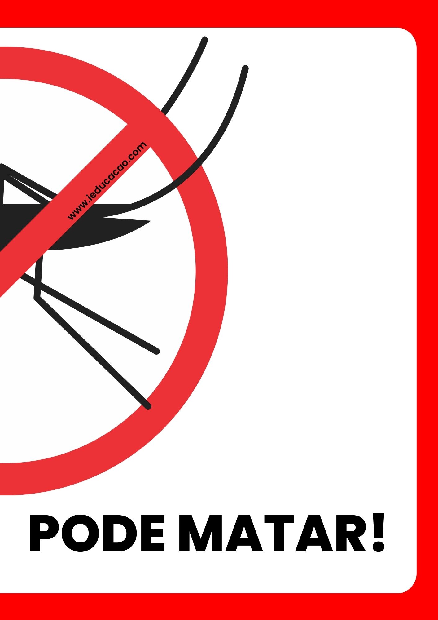 cartaz mosquito da dengue 1
