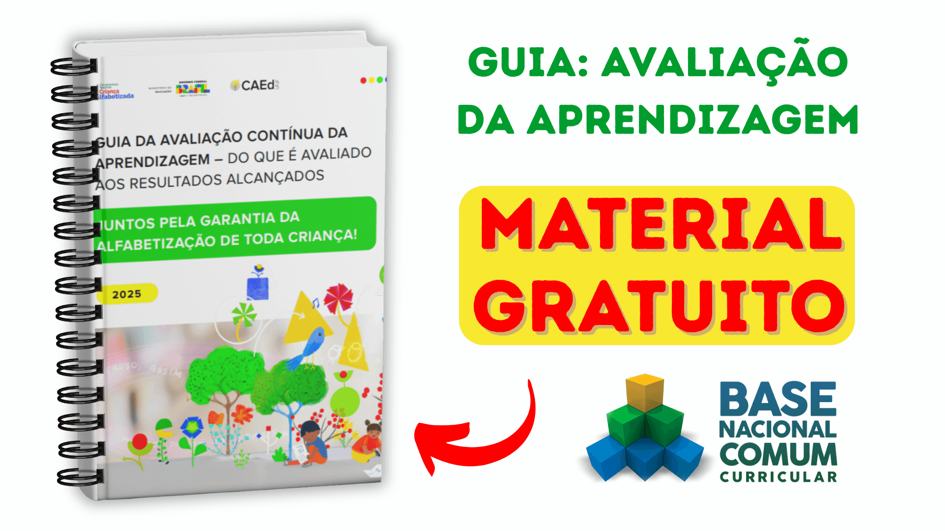 Guia da Avaliação da Aprendizagem - Avaliação Contínua da Aprendizagem na alfabetização