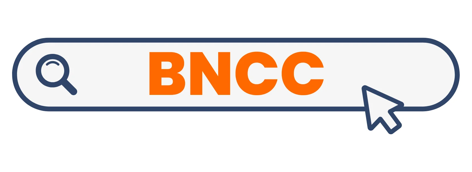 Base Nacional Comum Curricular (BNCC)